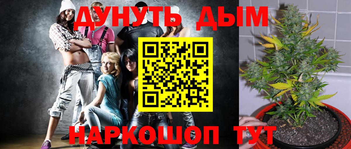 Бошки марихуана конопля Клин